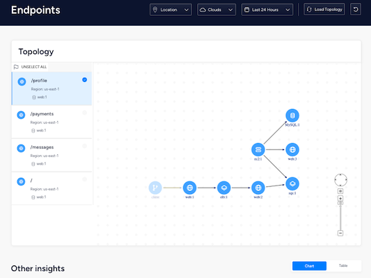 Image of network topology with selected endpoint